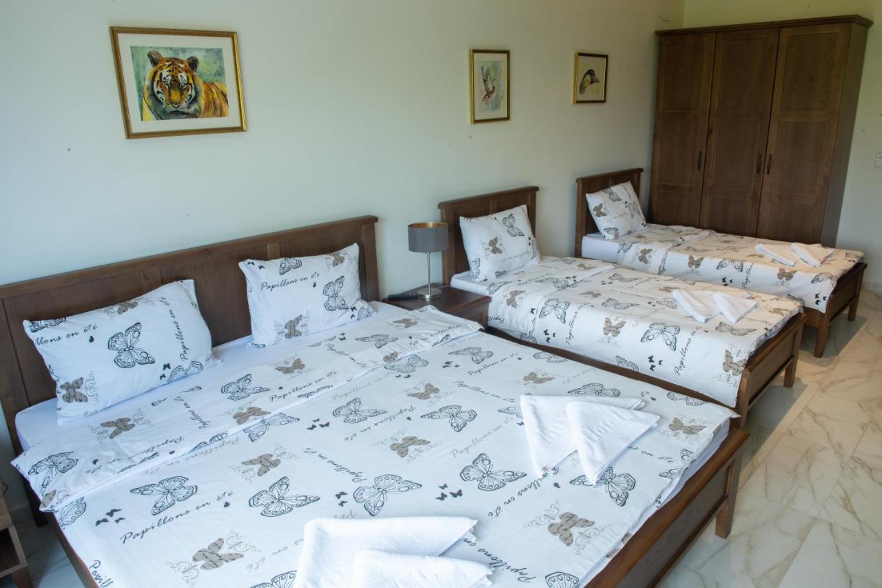 Zoo Misic Prenociste Hotell Vranje Exteriör bild