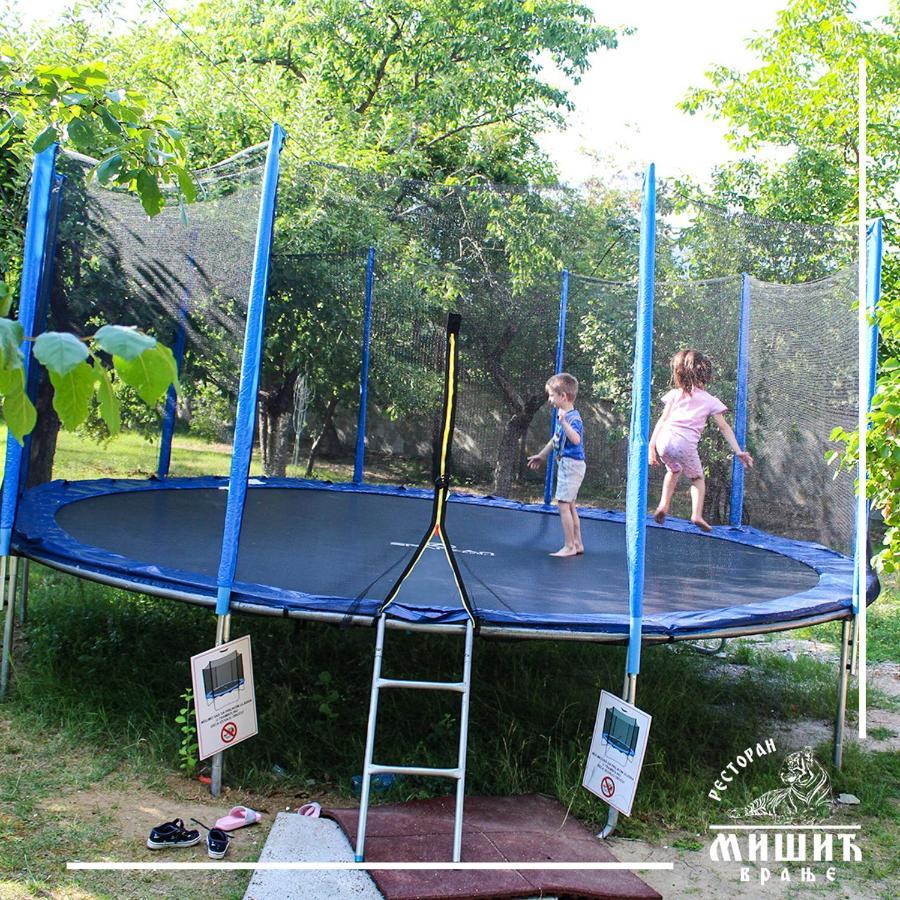 Zoo Misic Prenociste Hotell Vranje Exteriör bild
